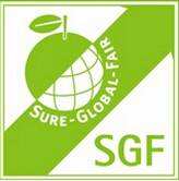 C语言实现围棋SGF格式棋谱解析器